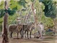 倉田三郎 ウィーン 宮殿の庭師 水彩、コンテ、鉛筆